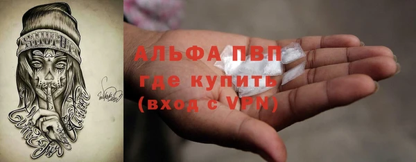 эйфоретик Инсар