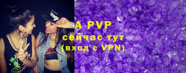 эйфоретик Инсар