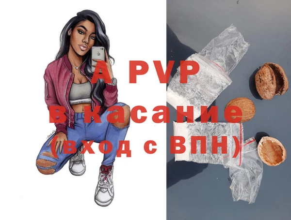 прущие крисы Инта